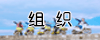 驴友红花会