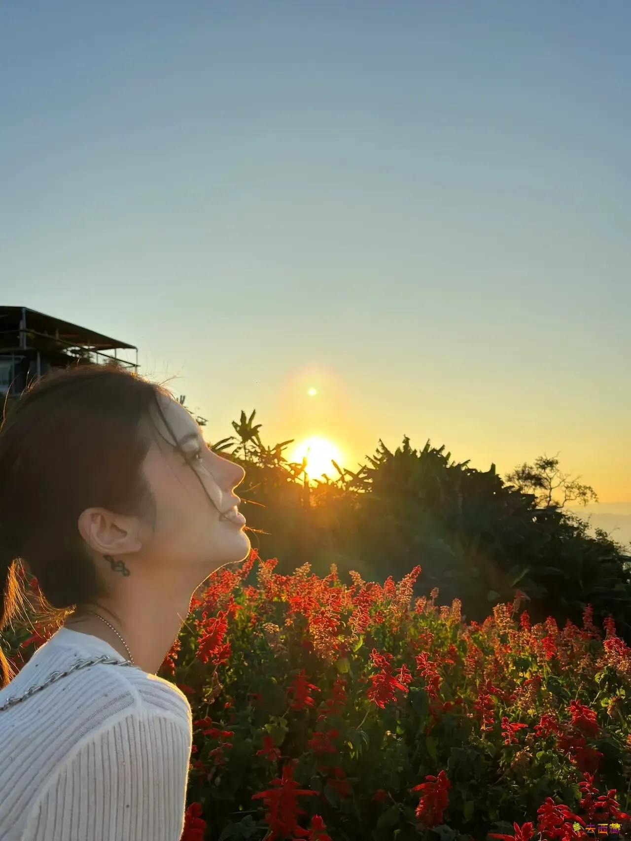 ff73e9380d7c42c082e983a3ee4976e8~tplv-obj_1280_1706.webp.jpg