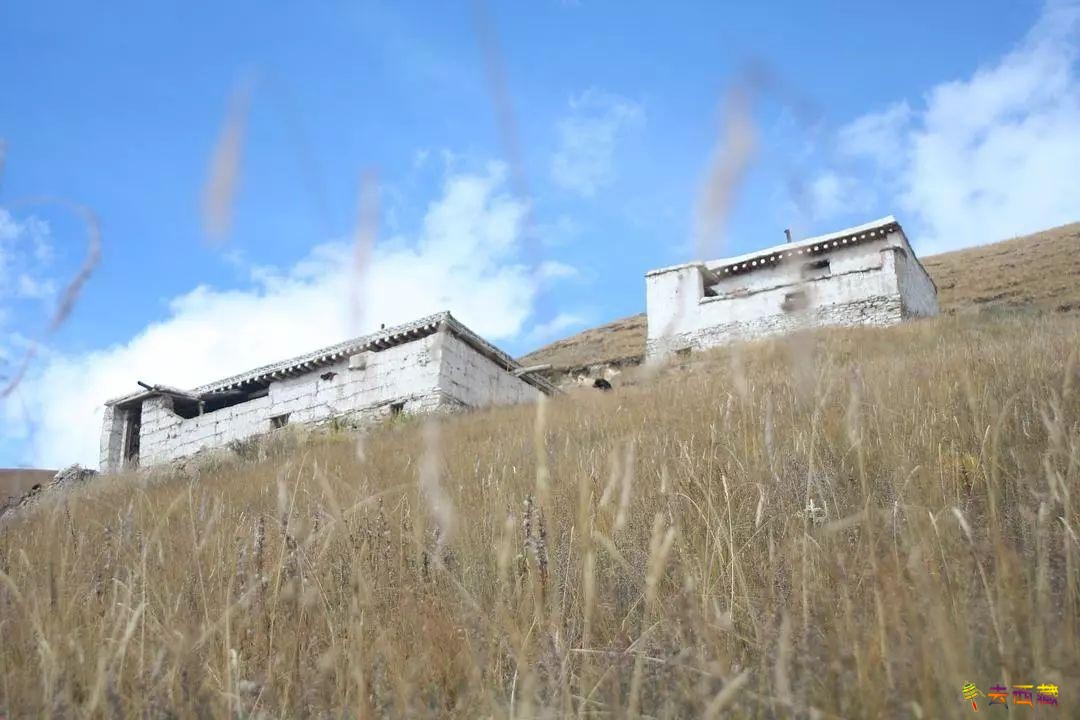 20240319_211815_051.jpg