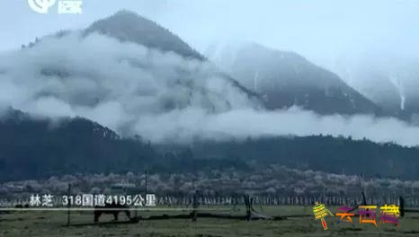 f14b6ea4aad64d358905601ba8b25c3d~noop.image__iz=58558&from=article.jpg