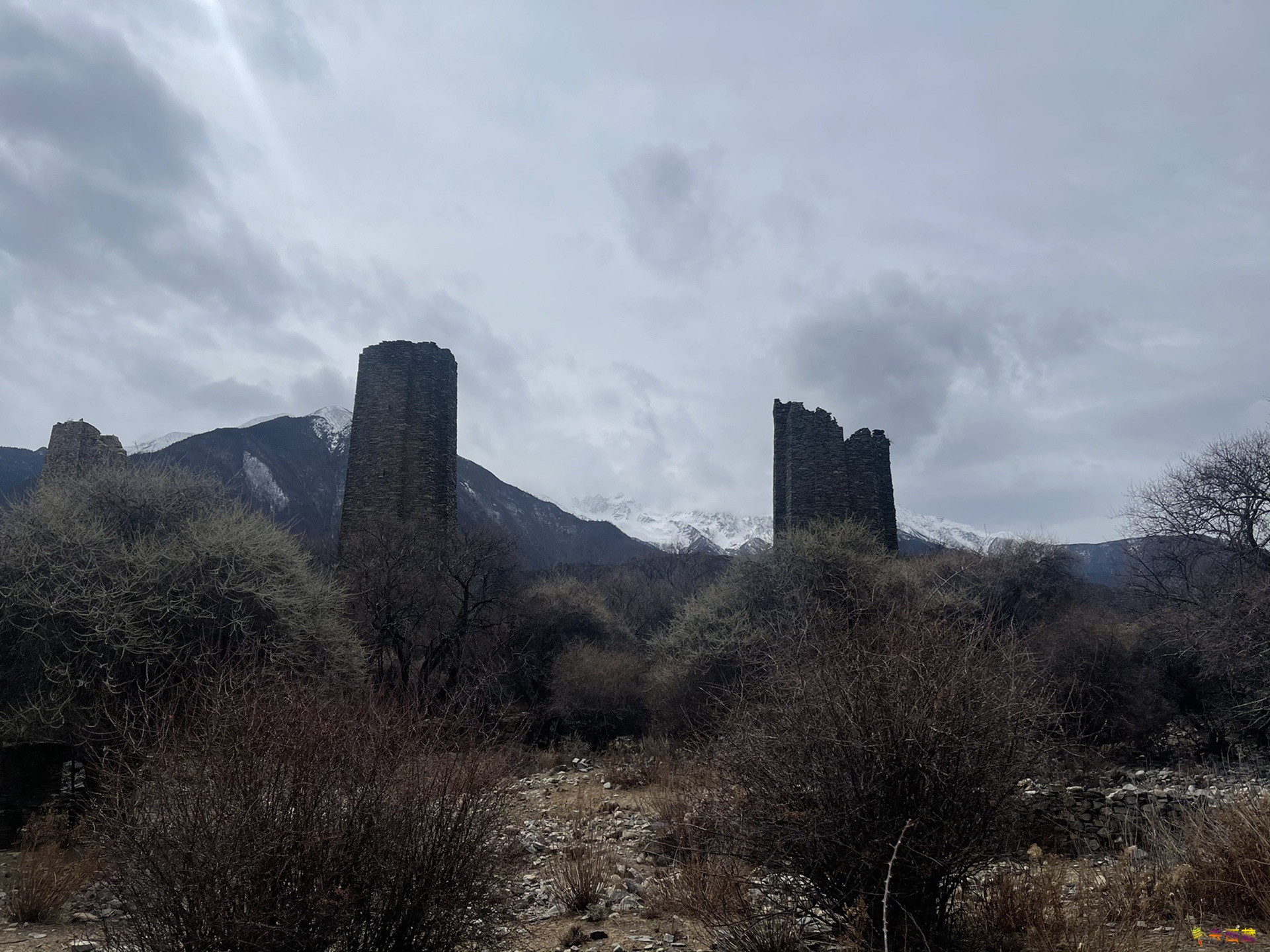 20240325_222223_119.jpg