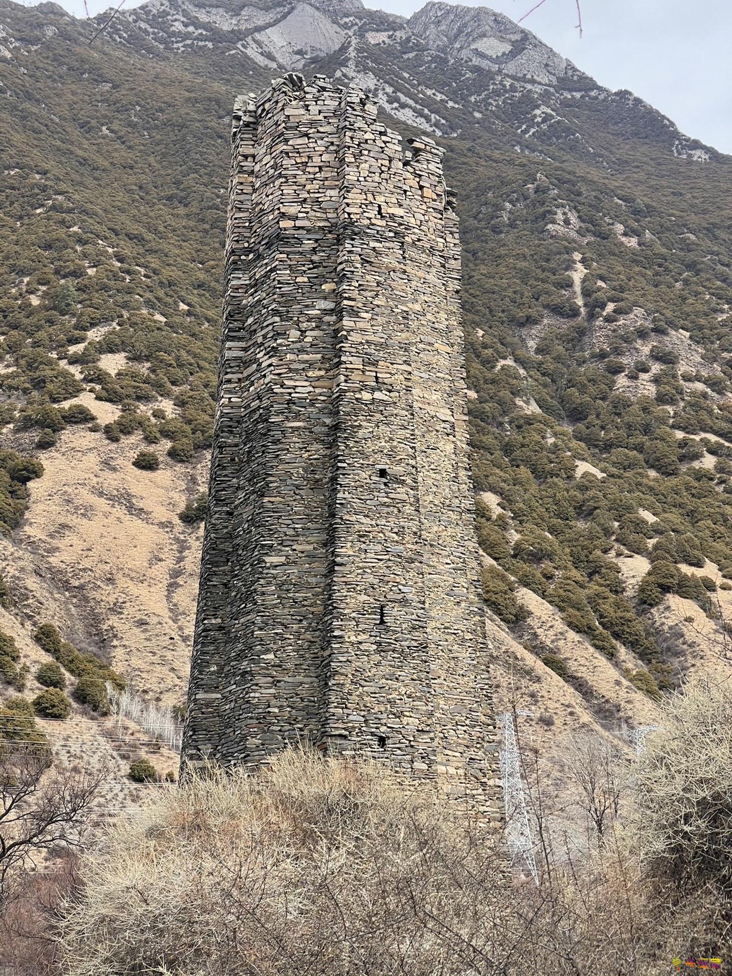 20240325_222223_118.jpg