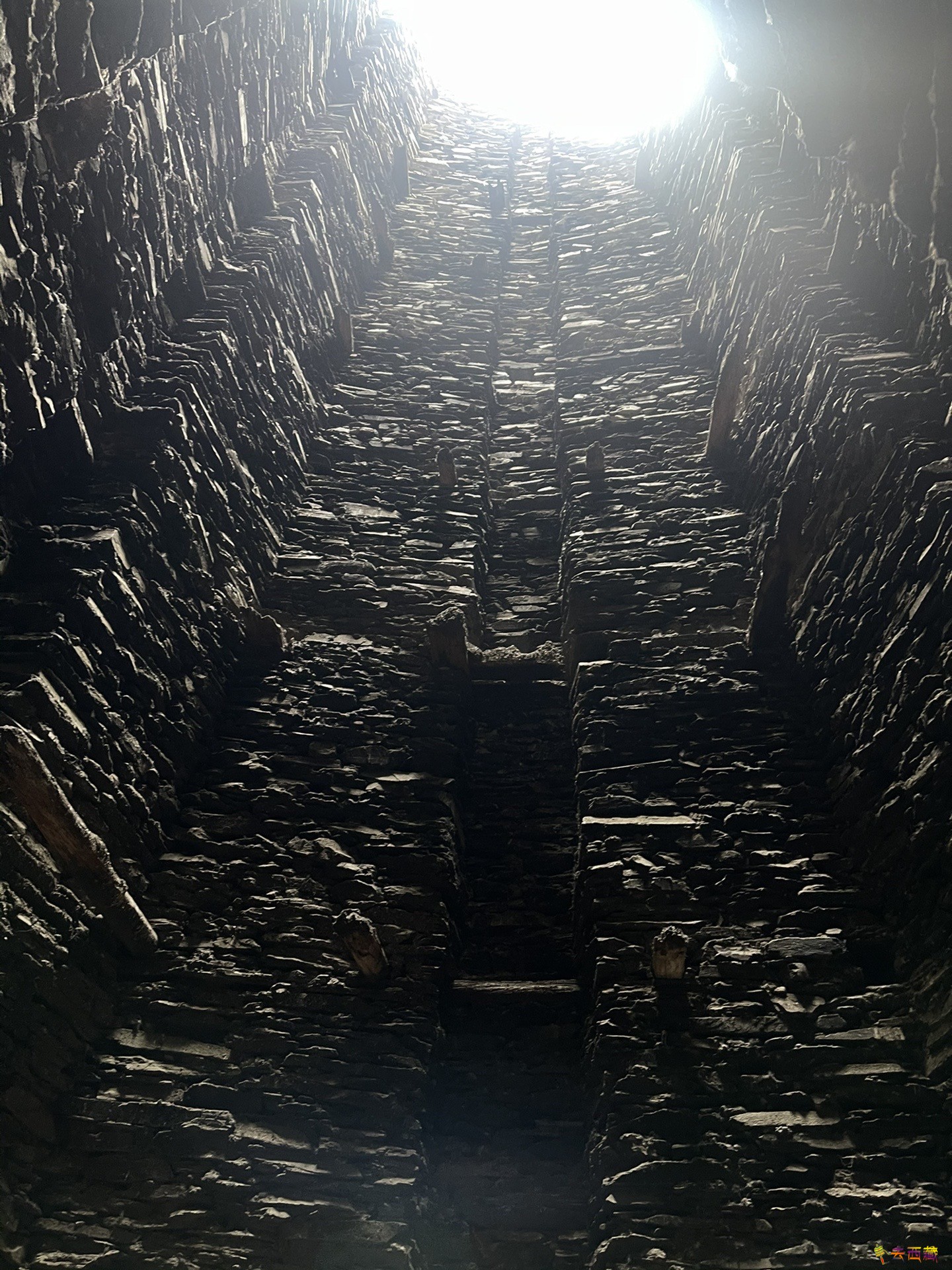 20240325_222223_117.jpg