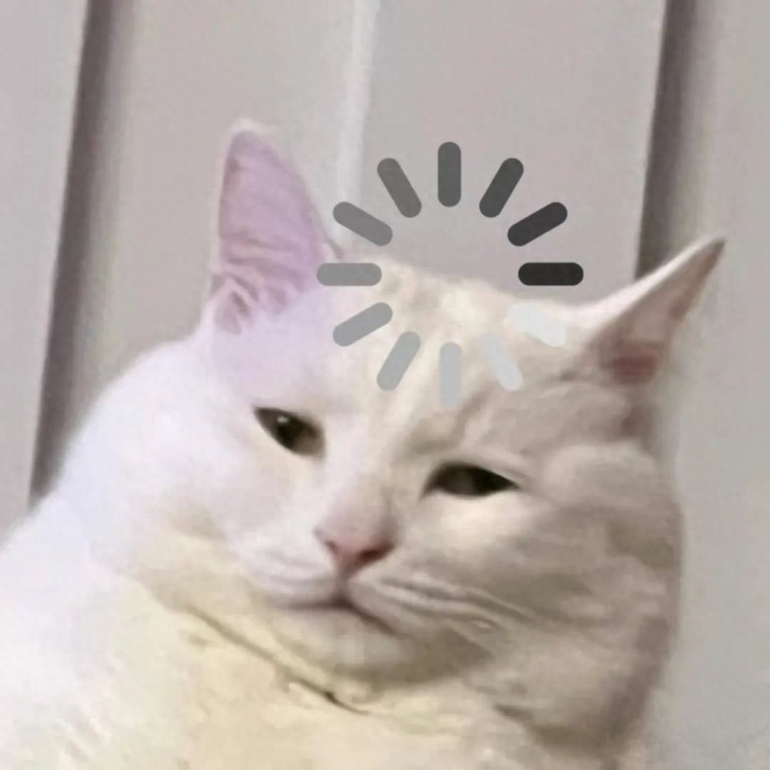 20250213_134515_000.jpeg