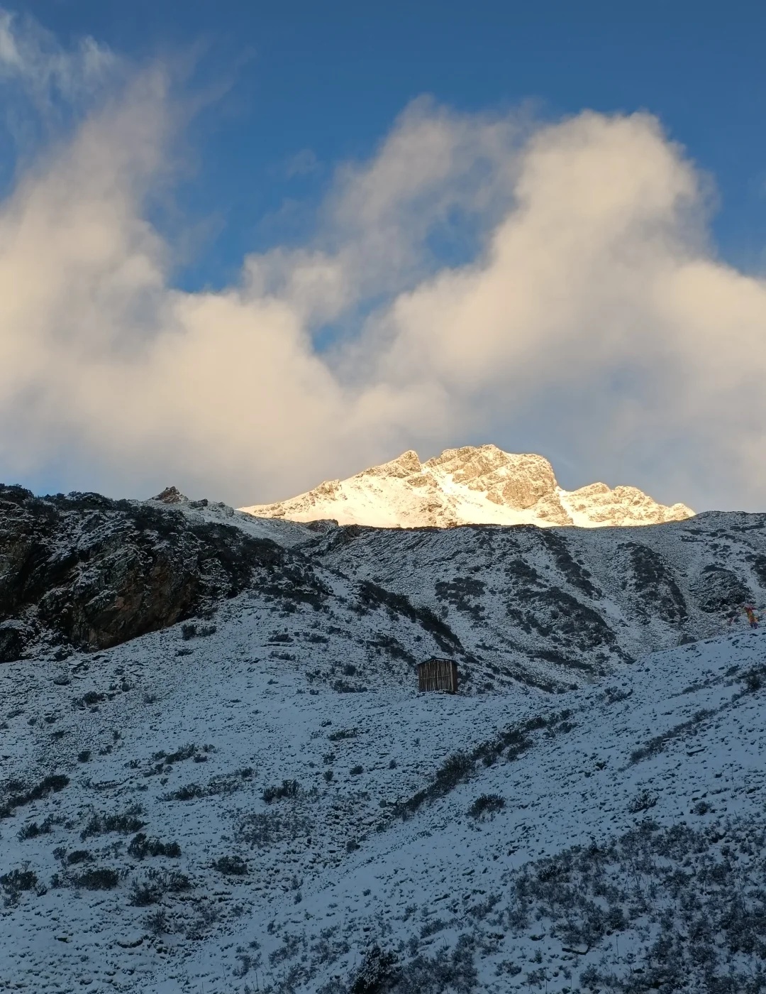 20250217_165039_063.jpg