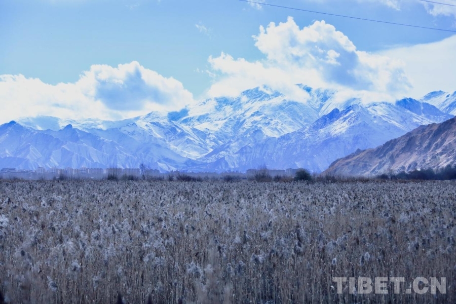 91559e394a9da25c7d3c7d421b5dec36~tplv-tt-origin-web:gif.jpeg?_iz=58558&from=article.jpg