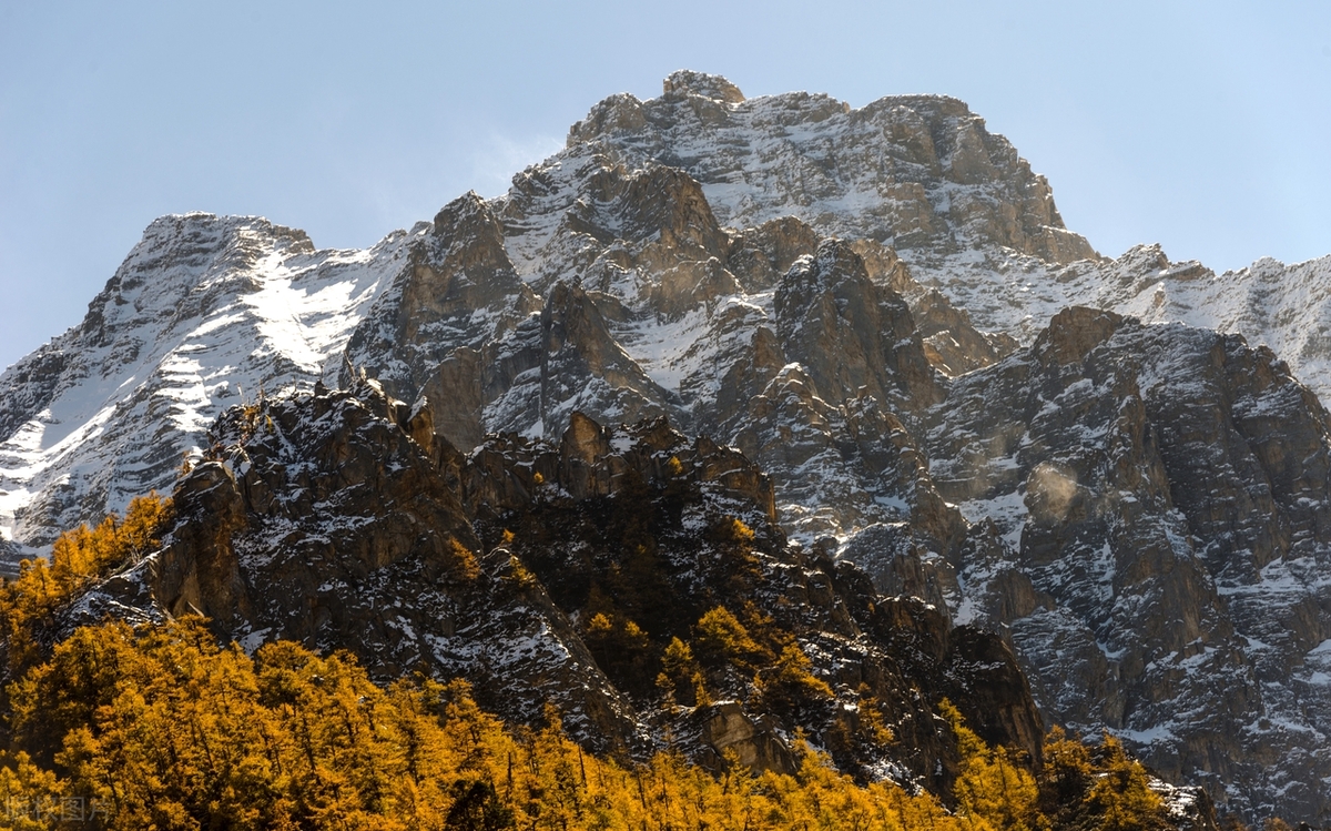 5d025b0108d64b20ac9e4a2e026188f0~tplv-tt-origin-web:gif.jpeg?_iz=58558&from=article.jpg