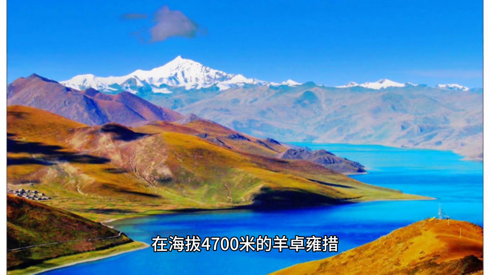 4946b1c04e3f435498c1de1118d733b2~tplv-tt-origin-web:gif.jpeg?_iz=58558&from=article.jpg