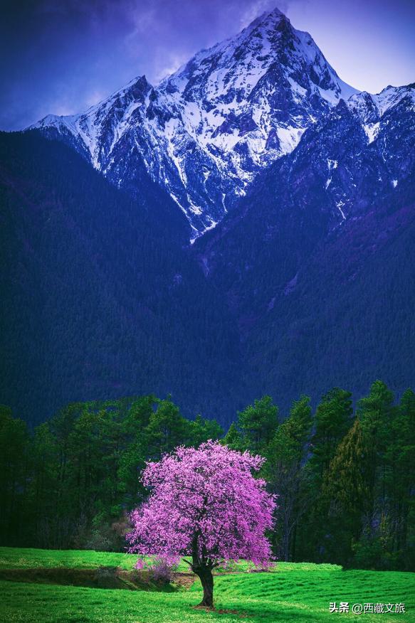 2adf792c9c7642ff9f8e470d4dbcf7ce~tplv-tt-origin-web:gif.jpeg?_iz=58558&from=article.jpg
