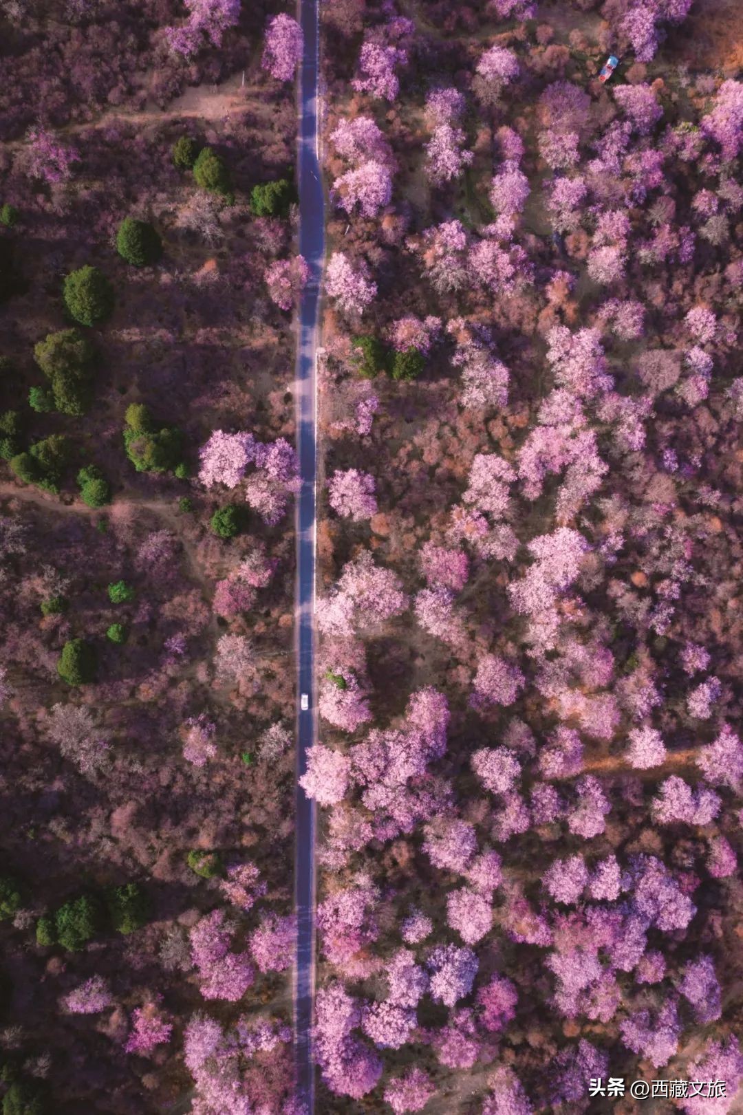 f594c4f24e2e46daab7fb742e04aec81~tplv-tt-origin-web:gif.jpeg?_iz=58558&from=article.jpg