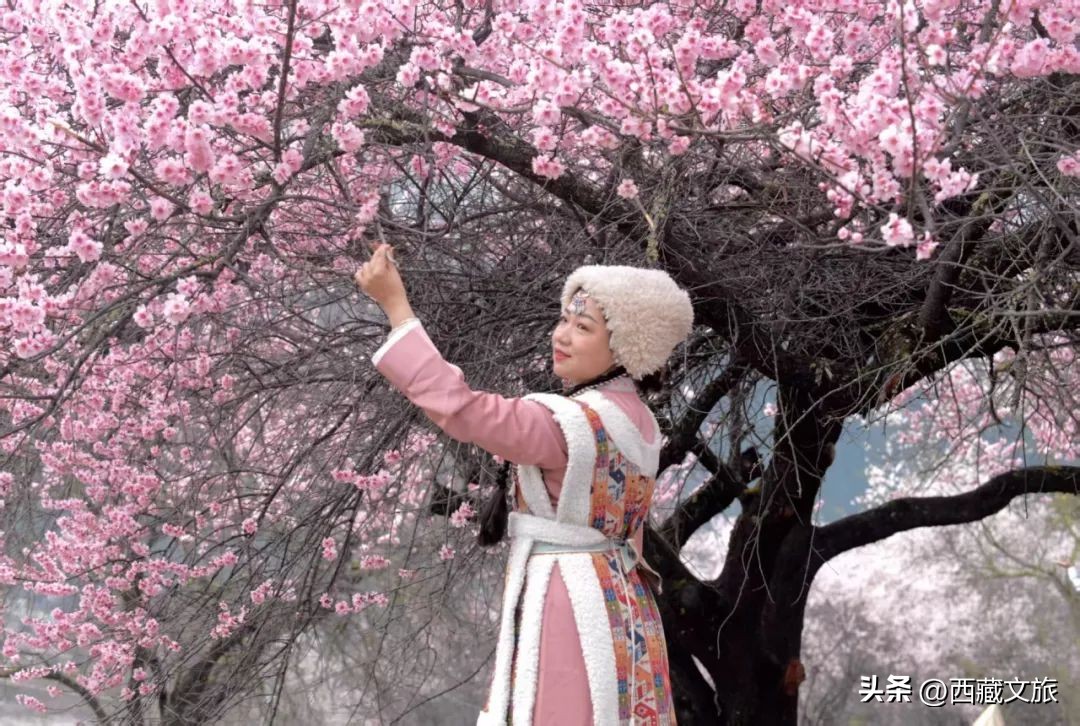 3fb003ffa7484ee1bf0ca82bee6104a5~tplv-tt-origin-web:gif.jpeg?_iz=58558&from=article.jpg