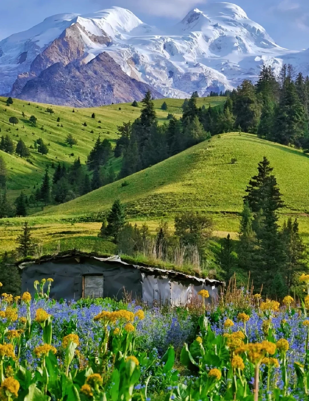01f313ea27bd4bfe9ee17ff4c83ec745~tplv-obj:1080:1400.jpg