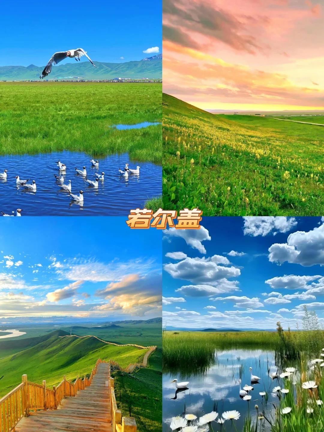 735670eee65b4bfeb048e69b9226aa05~tplv-tt-origin-web:gif.jpeg?_iz=58558&from=article.jpg