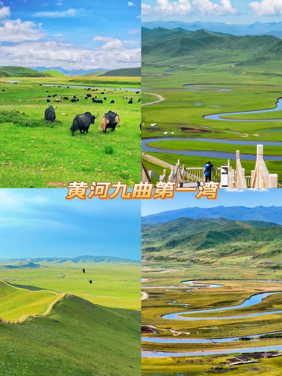 f9c96d62208c476fa3f66e3b234dd890~tplv-tt-origin-web:gif.jpeg?_iz=58558&from=article.jpg