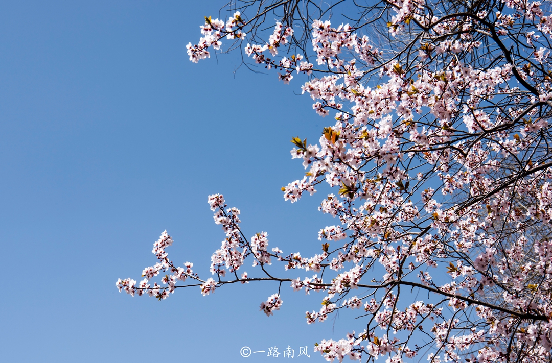 9a15599f5c4b40e0843b797f3c9e899d~tplv-obj:1080:711.jpg