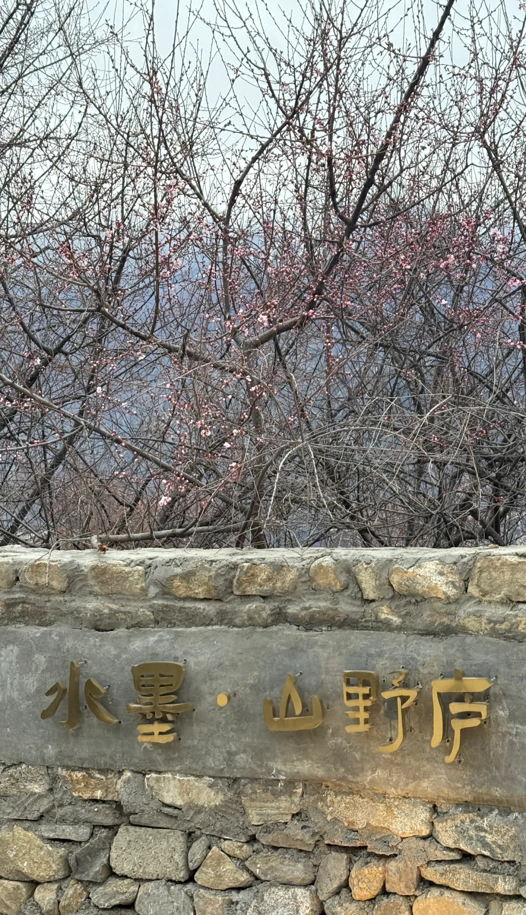 8750165cc94f4f1ba0d4ef93d1e31256~tplv-obj:1080:1880.jpg