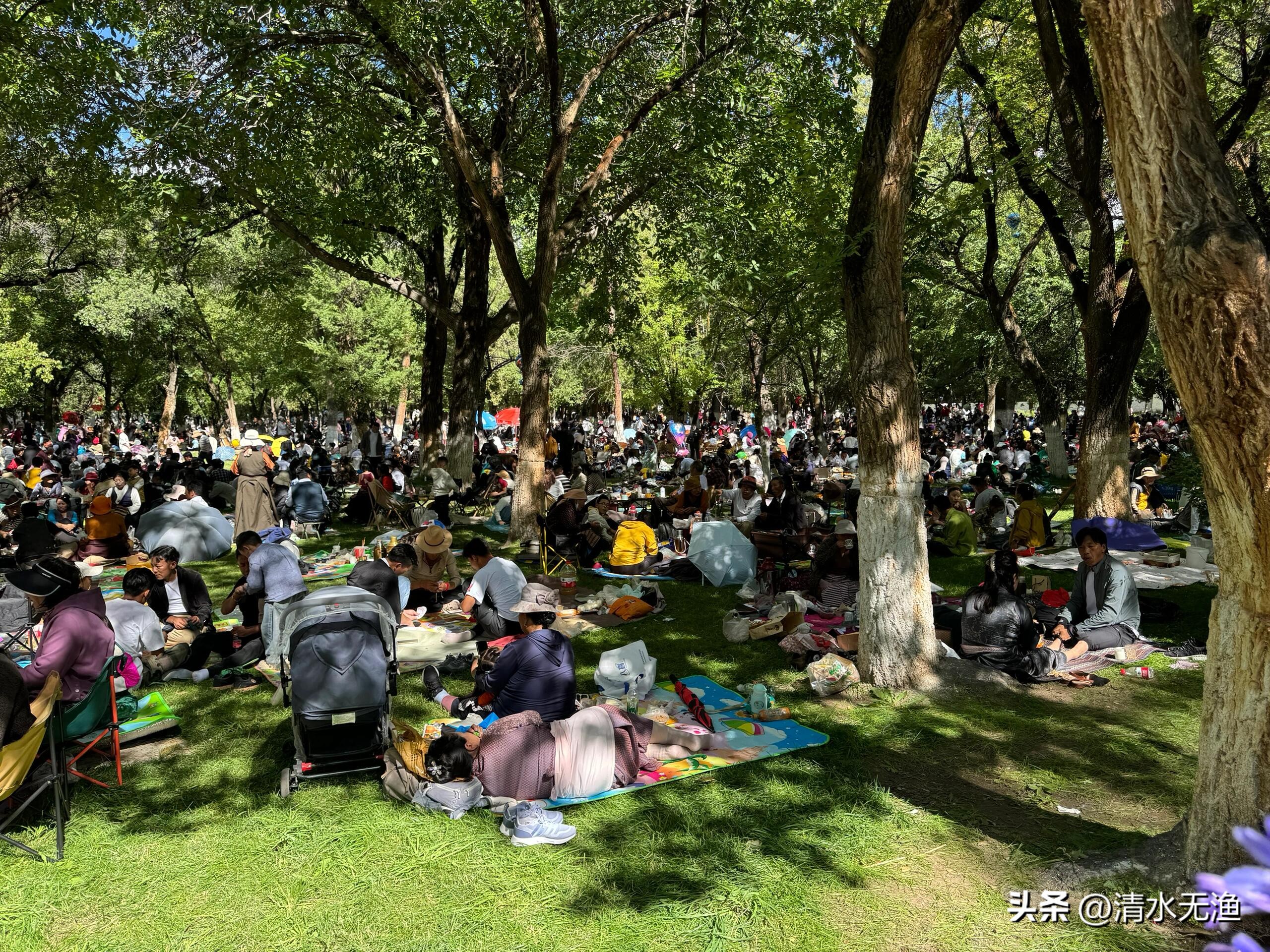 40ff078c2a924a9892ebe6afce30e099~tplv-tt-origin-web:gif.jpeg?_iz=58558&from=article.jpg