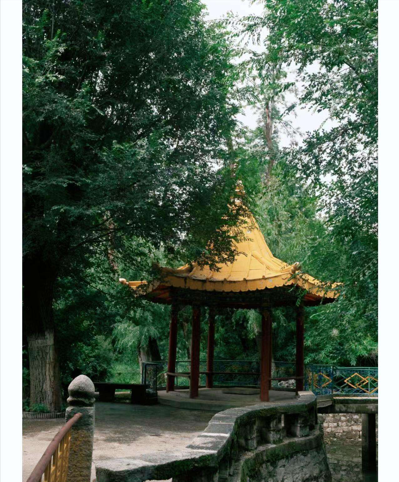 24a342e9937549358f41e42c4786f99f~tplv-tt-origin-web:gif.jpeg?_iz=58558&from=article.jpg