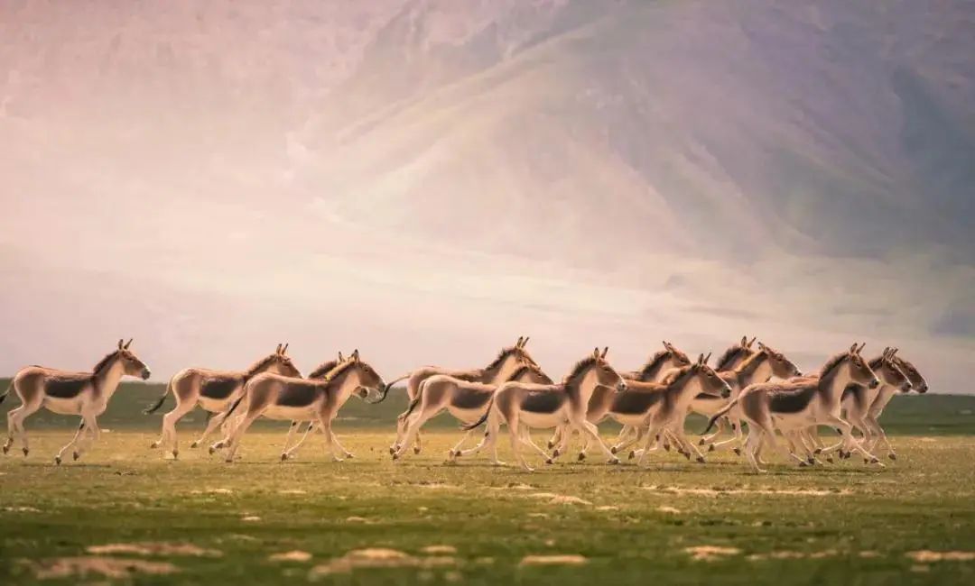 6d543ea84937a8e318fe3e017b89115f~tplv-tt-origin-web:gif.jpeg?_iz=58558&from=article.jpg