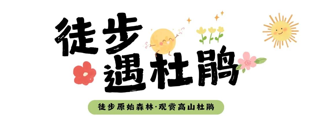 d48896df213a42d284629c0fba128fef~tplv-tt-origin-web:gif.jpeg?_iz=58558&from=article.jpg