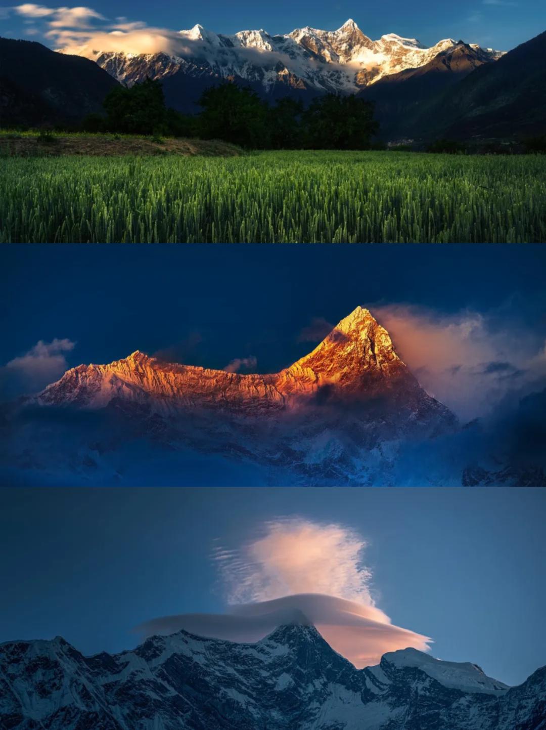 1ef5c1b331eb485289afd7103d60e234~tplv-tt-origin-web:gif.jpeg?_iz=58558&from=article.jpg