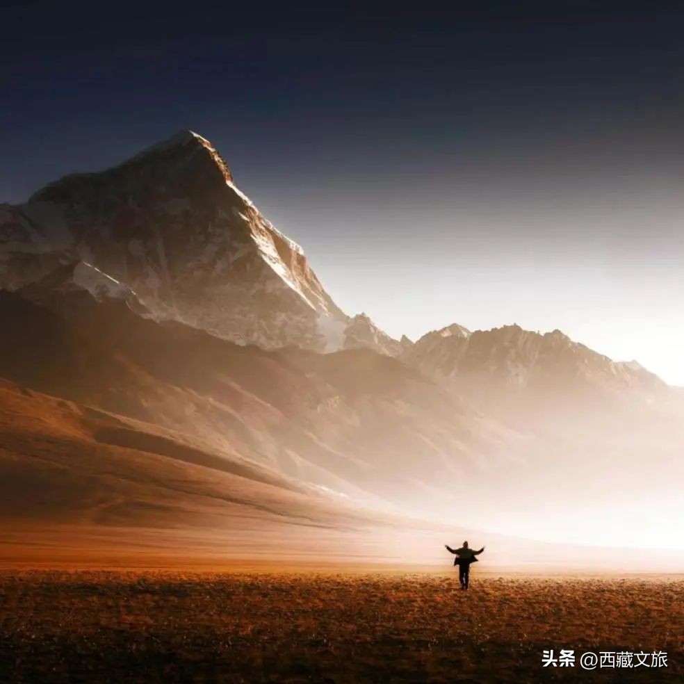 0988054dc6ef4764bfc516af6e32502e~tplv-tt-origin-web:gif.jpeg?_iz=58558&from=article.jpg