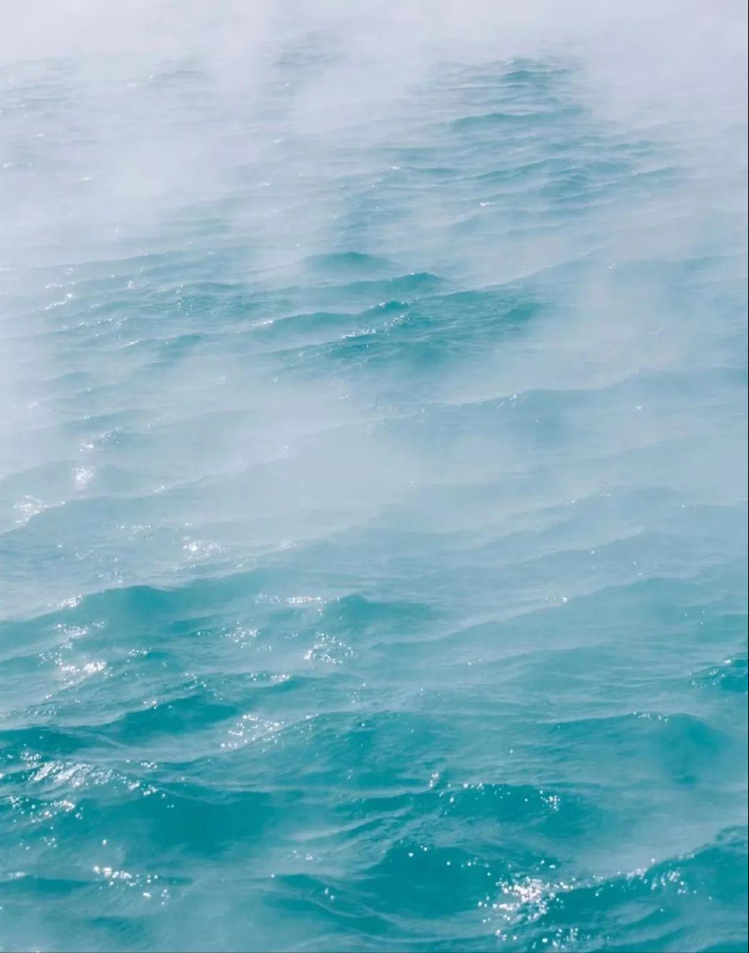 f9234e24dd754a5ab2696f9438e5cba9~tplv-tt-origin-web:gif.jpeg?_iz=58558&from=article.jpg