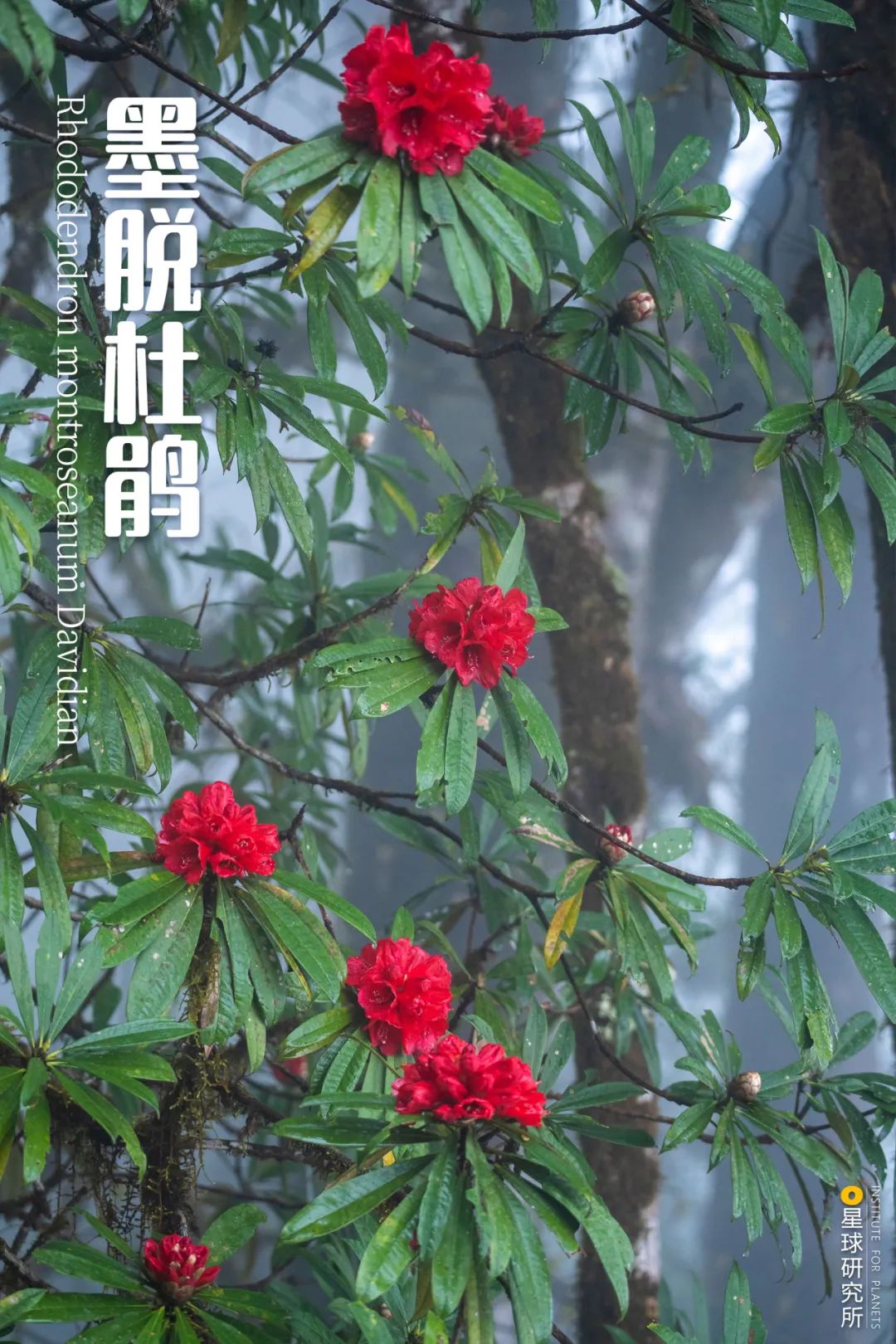 b7ab89c5c37a4c22aaf2ed7a0e655193~tplv-tt-origin-web:gif.jpeg?_iz=58558&from=article.jpg